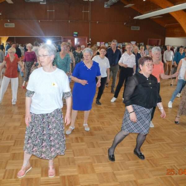 Danse en ligne (4)