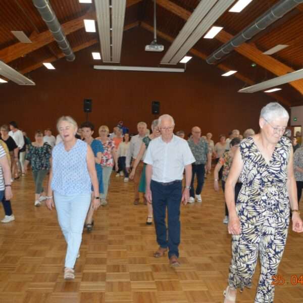 Danse en ligne (5)