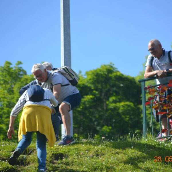 DSC_0686 (Medium)