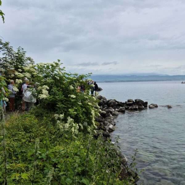 Evian (10)