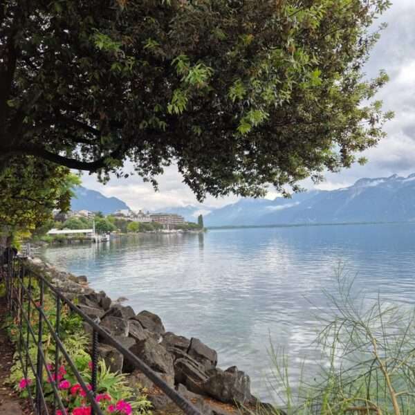 Evian (14)