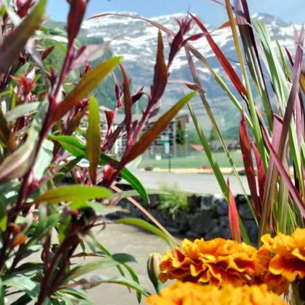 Evian (2)