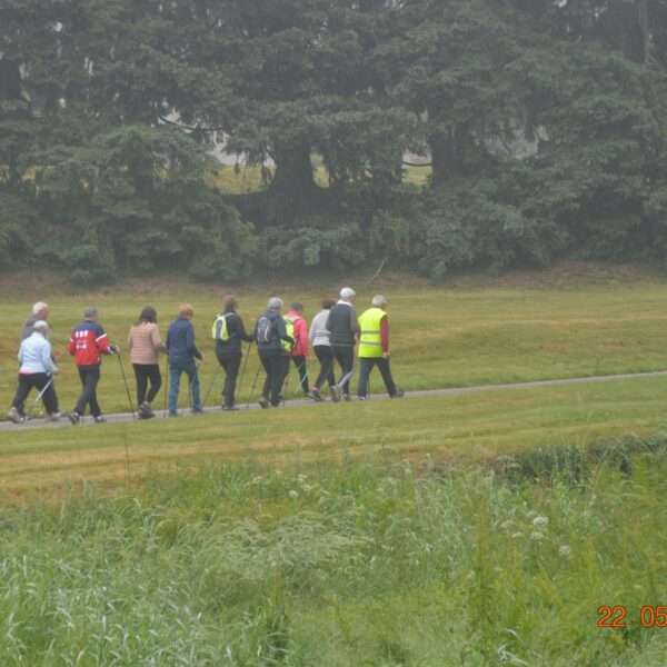 Marche (8)