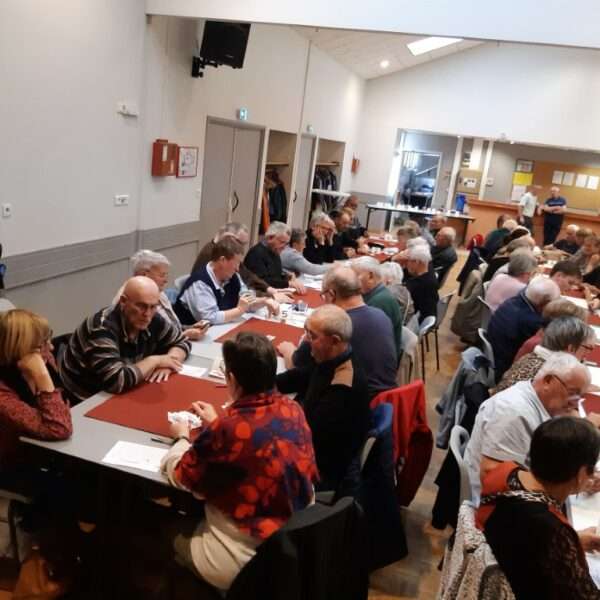 Belote (1)