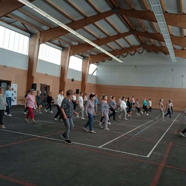 Danse en lignes (2)